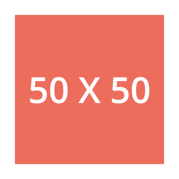 50 x 50