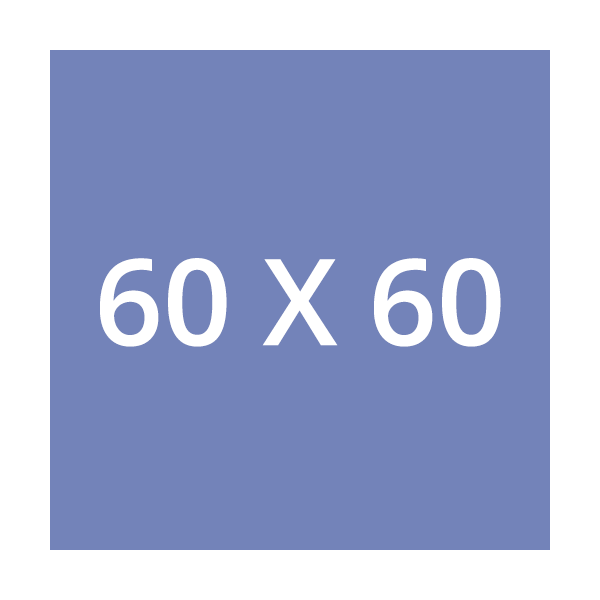 60 x 60